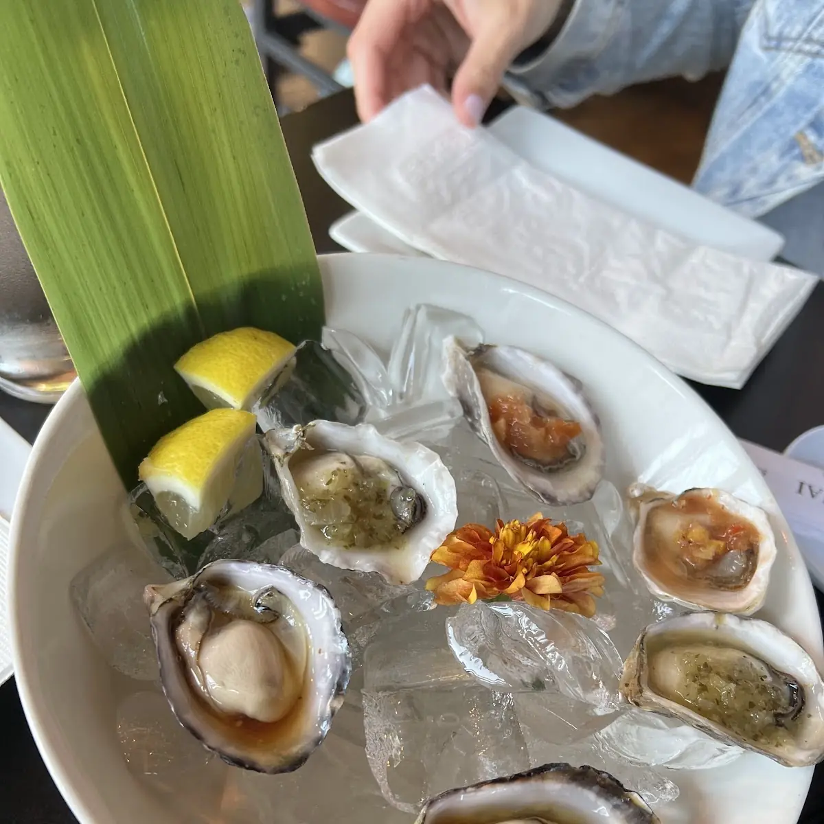Half Dozen Oysters