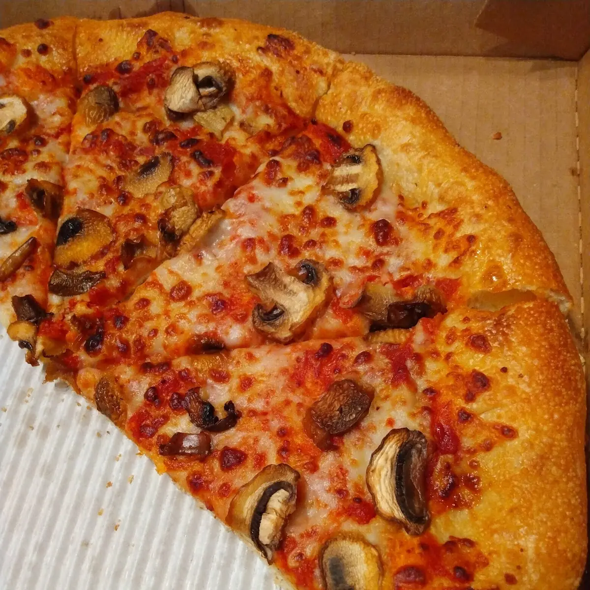 Cheese Mushroom Pizza Bread