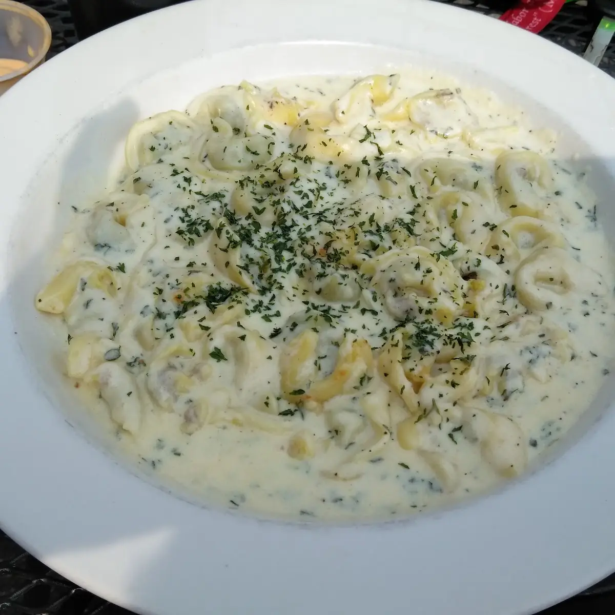 Tortellini Alfredo