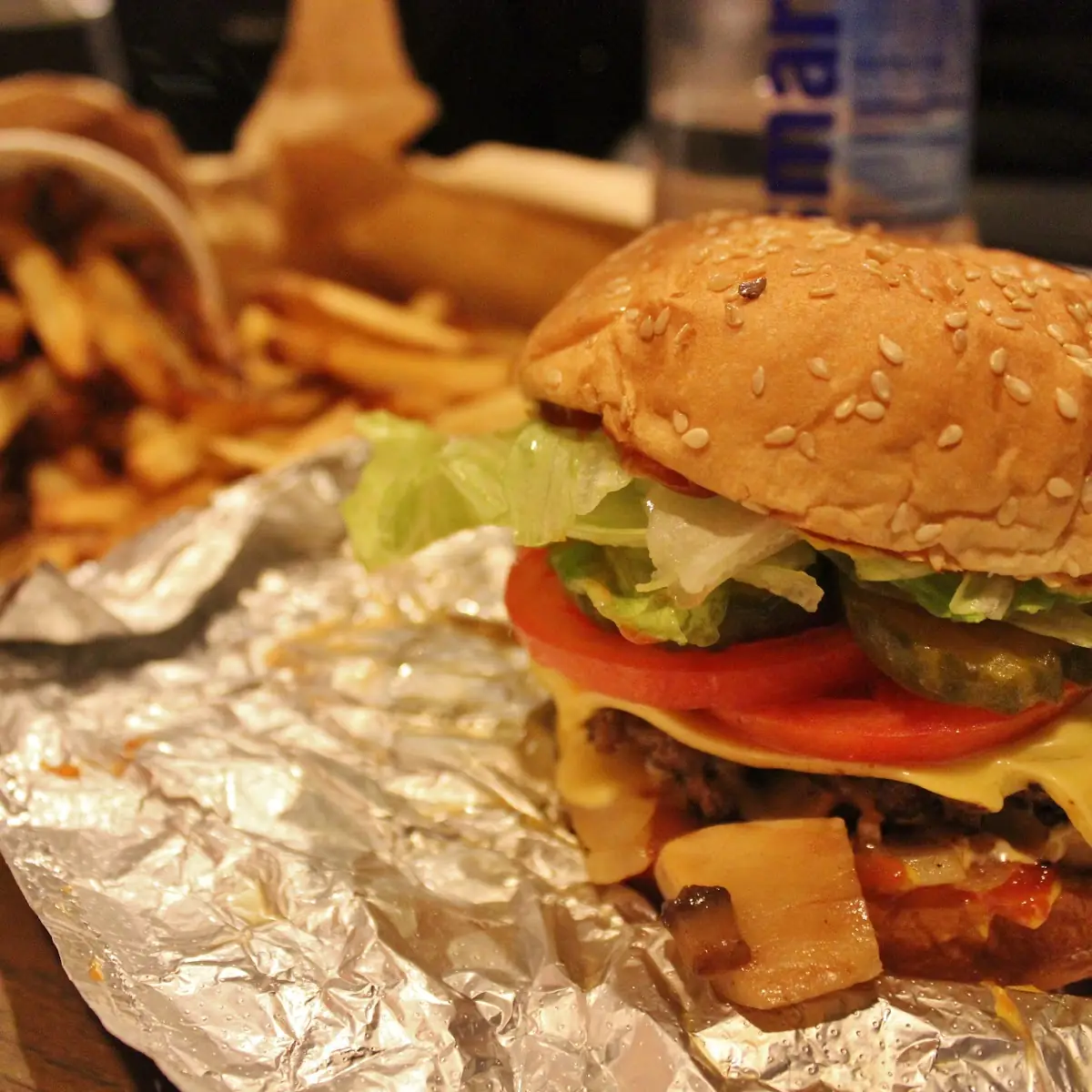 Double Cheeseburger