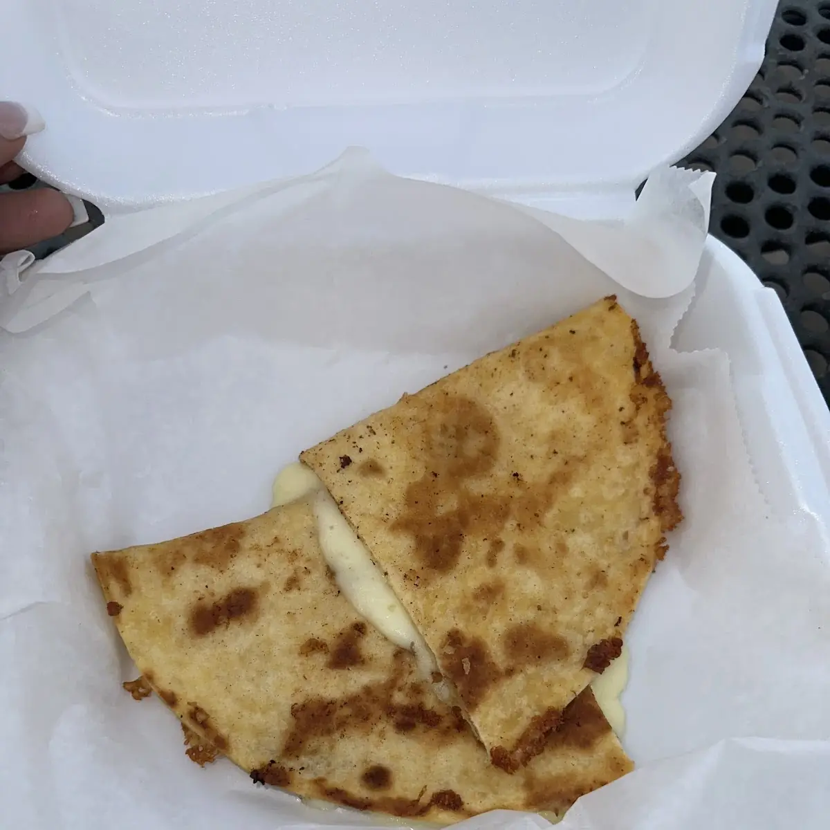 Cheese Quesadilla