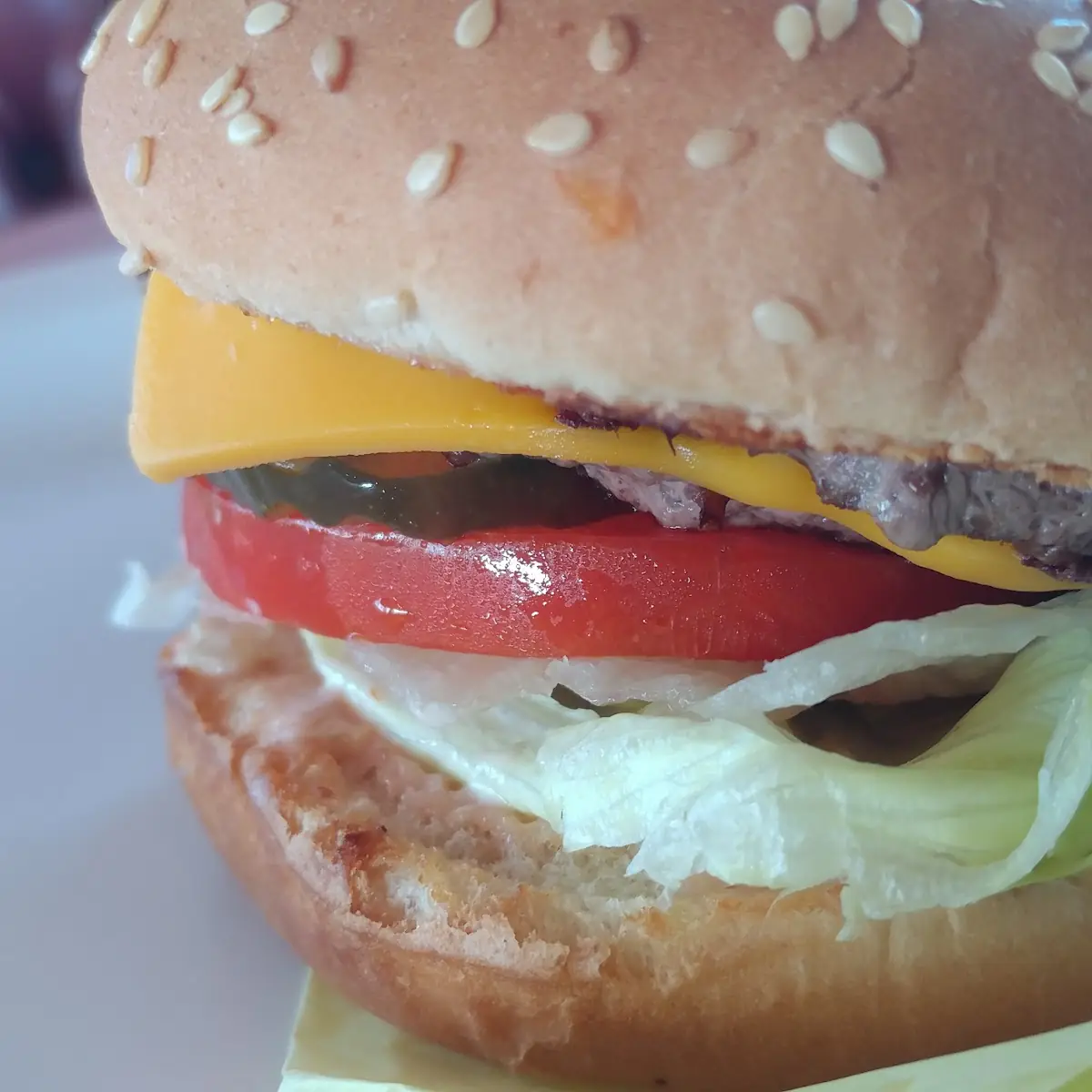 Double Cheeseburger
