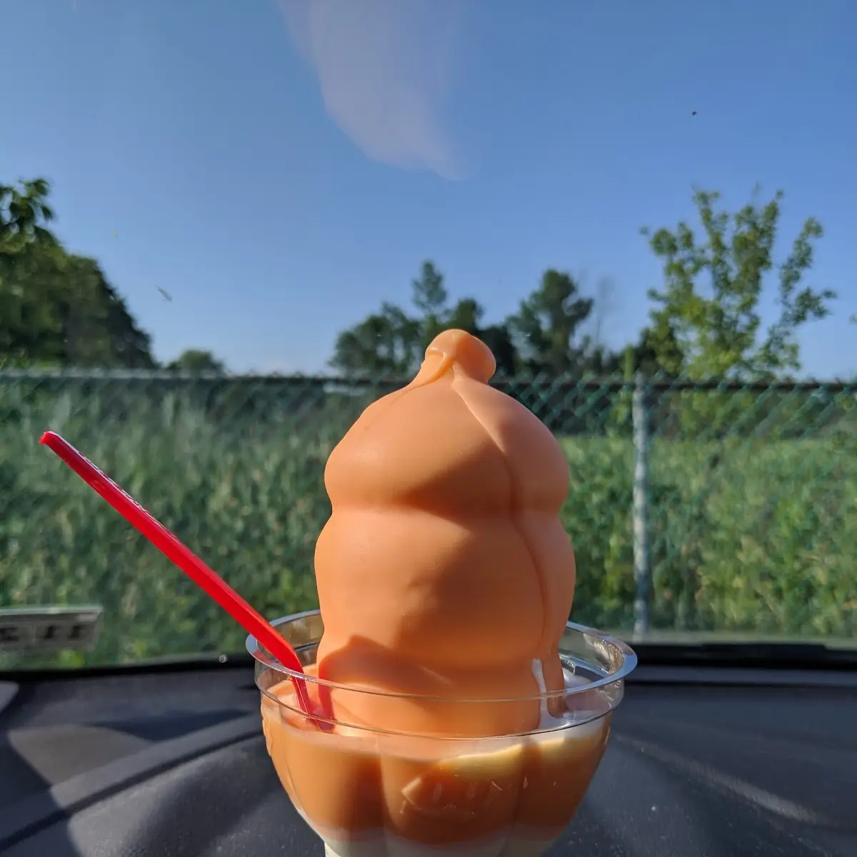 Soft Vanilla with Orange Hard Shell