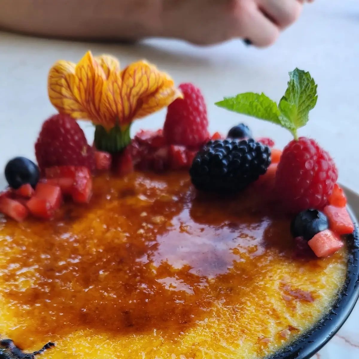 Creme Brûlée