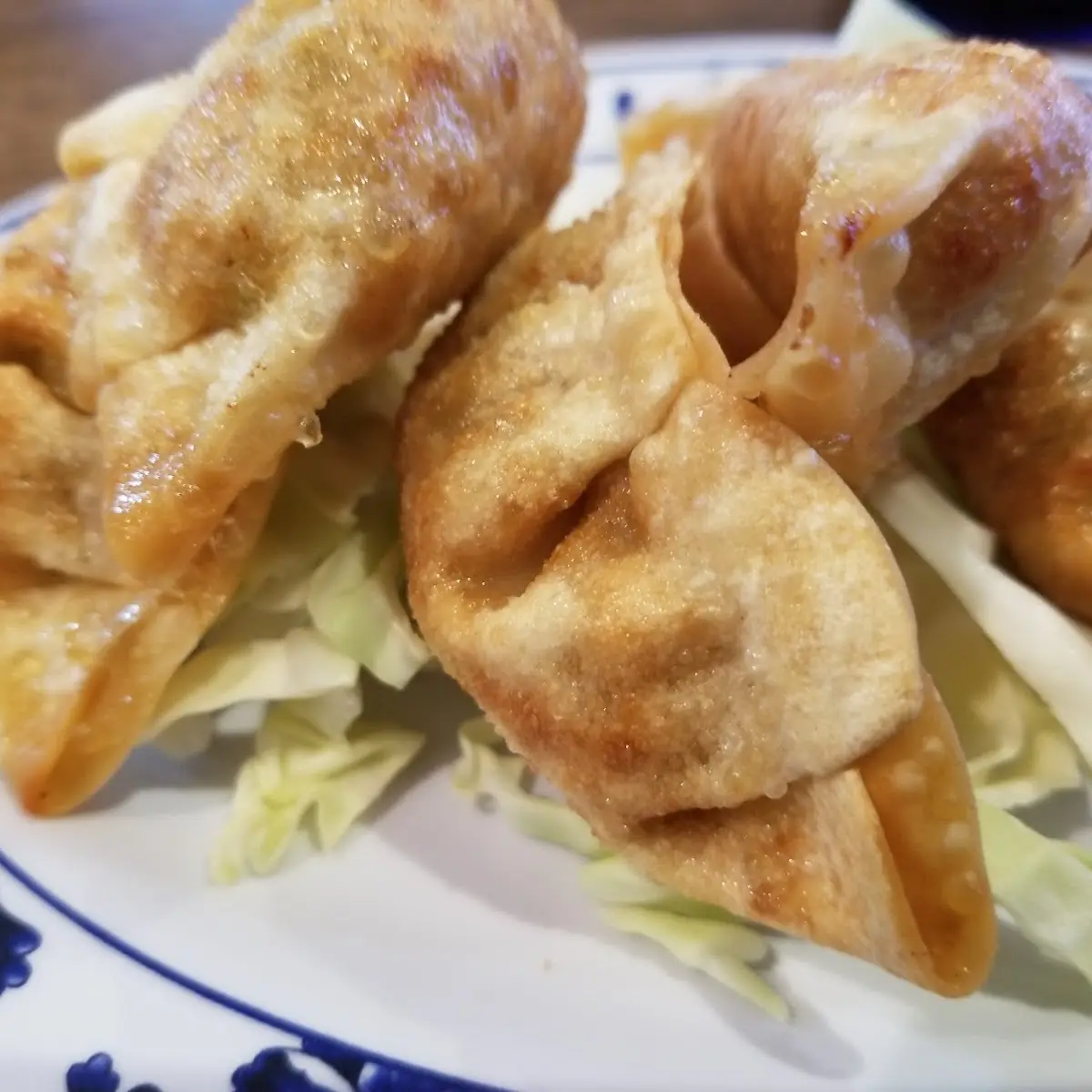 Pot Stickers