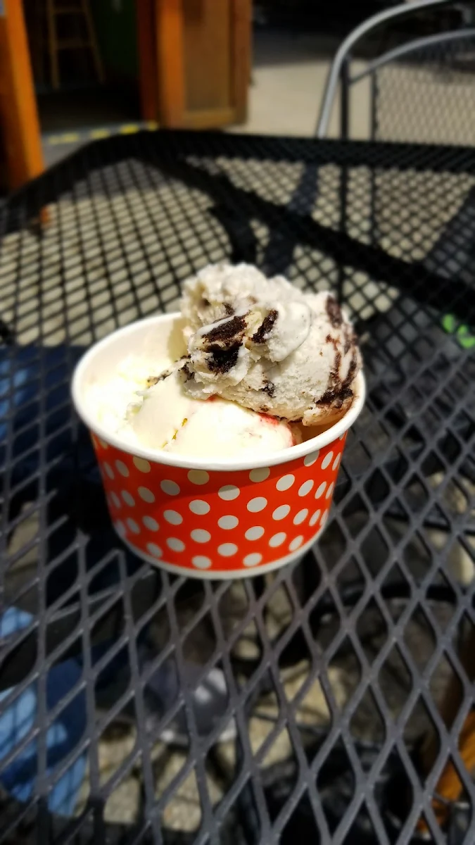 Cookies & Cream Gelato