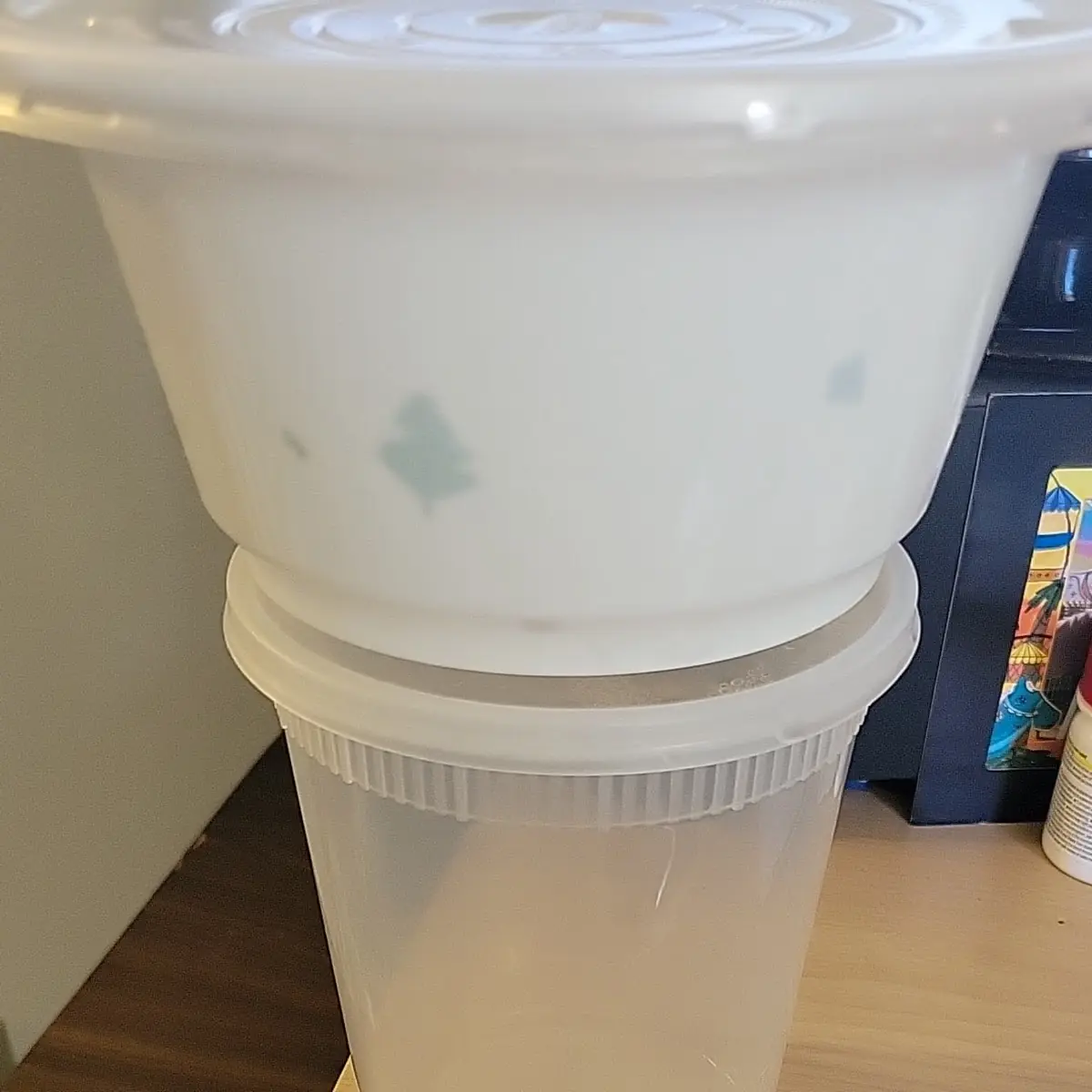 Fresh Squeezed Lemonade