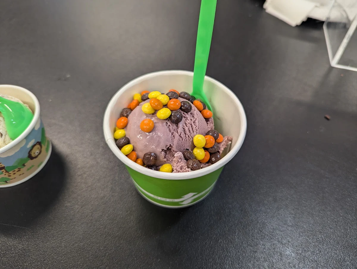 Frozen Yogurt
