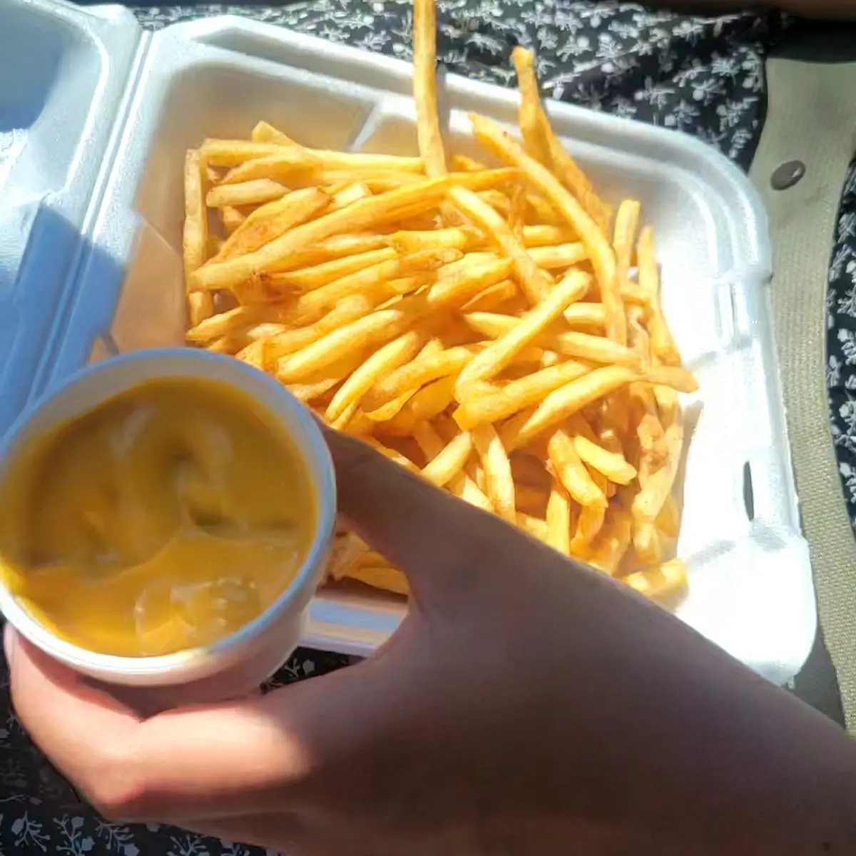 Fries and Cheese Sauce