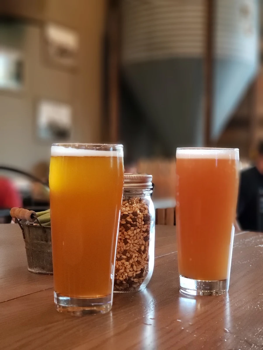 Craft Beer