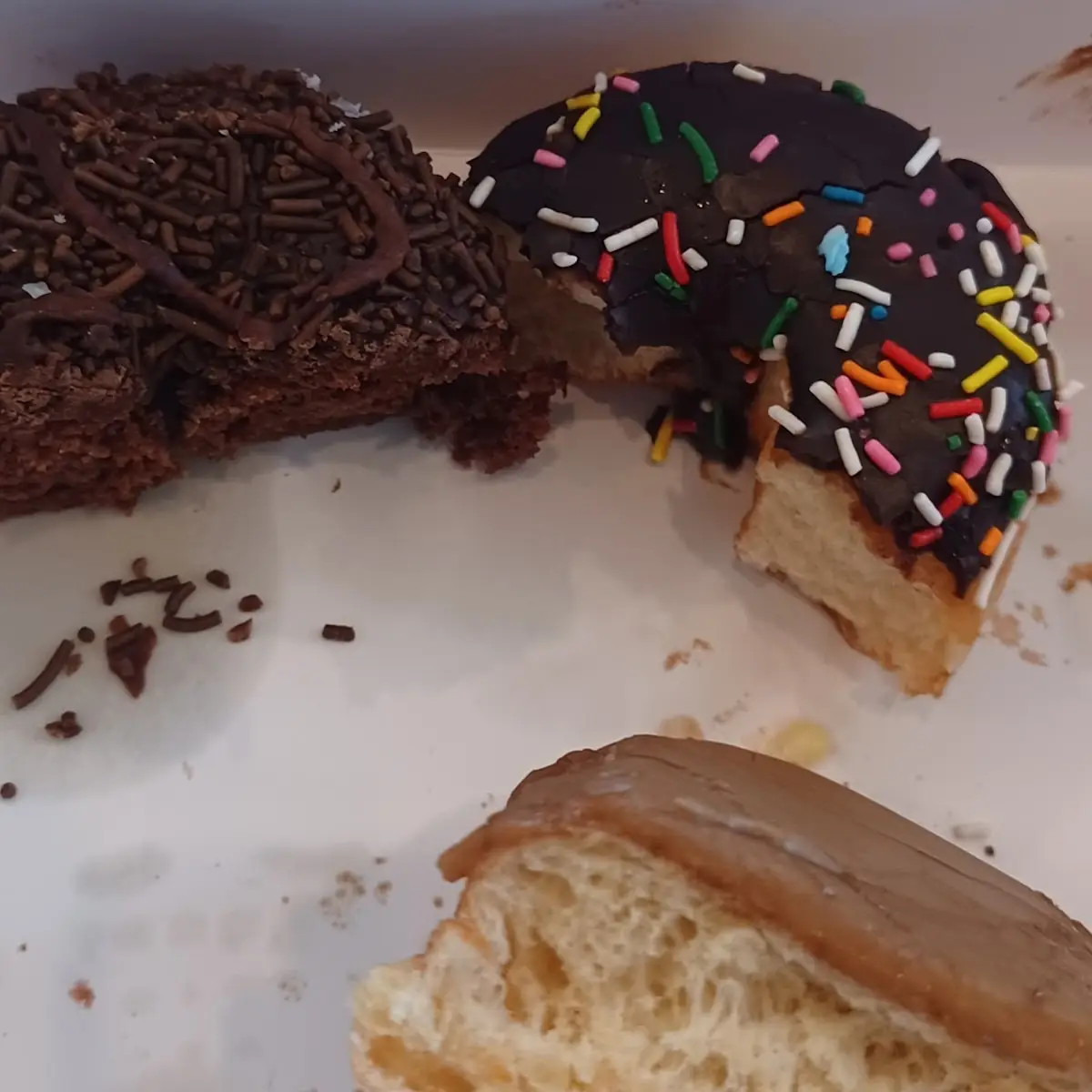 Maple Donut Plain with Chocolate and Sprinkles Double Chocolate with Sprinkles