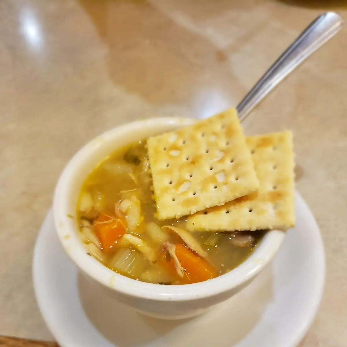 Chicken Noodle Soup