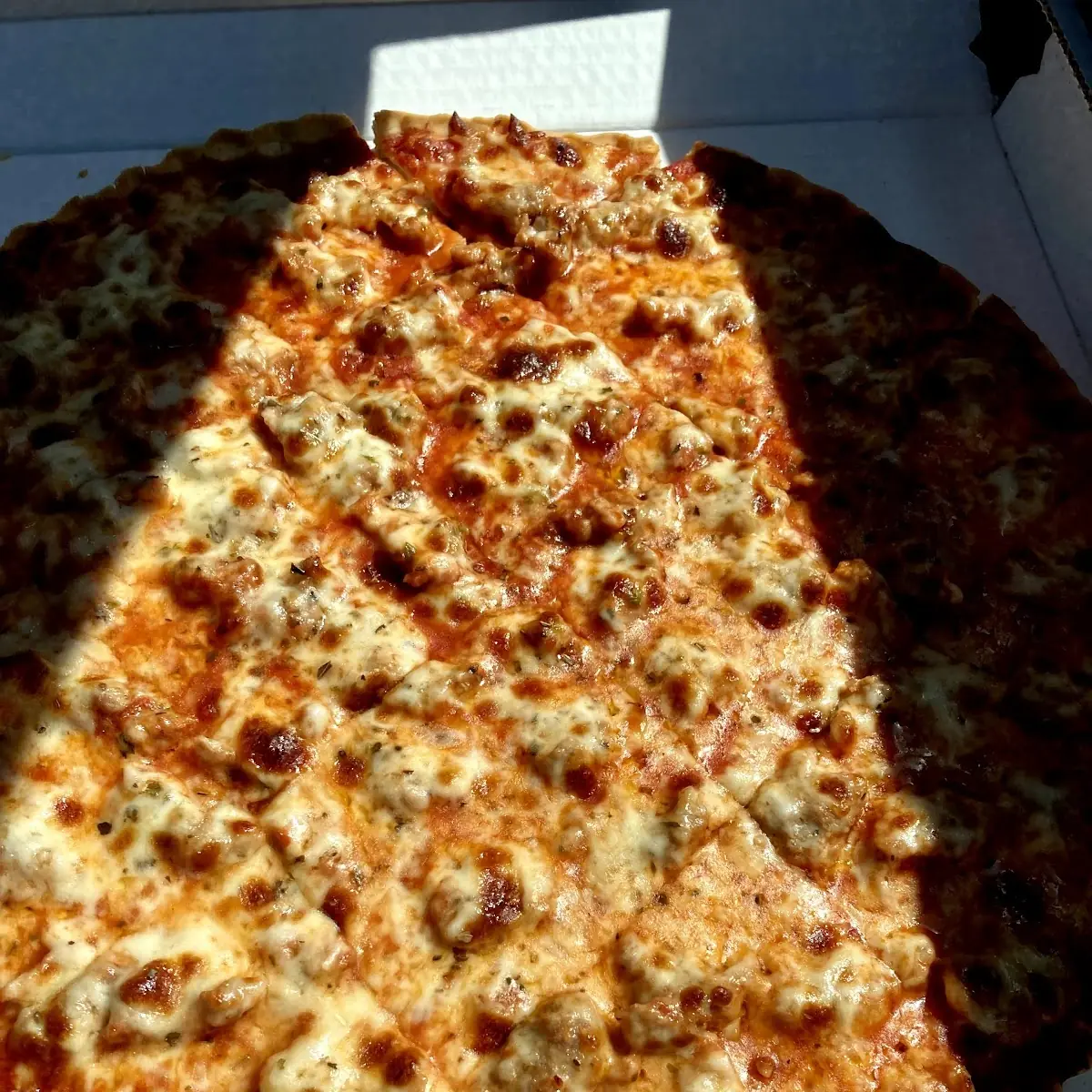 Large Sausage Pizza