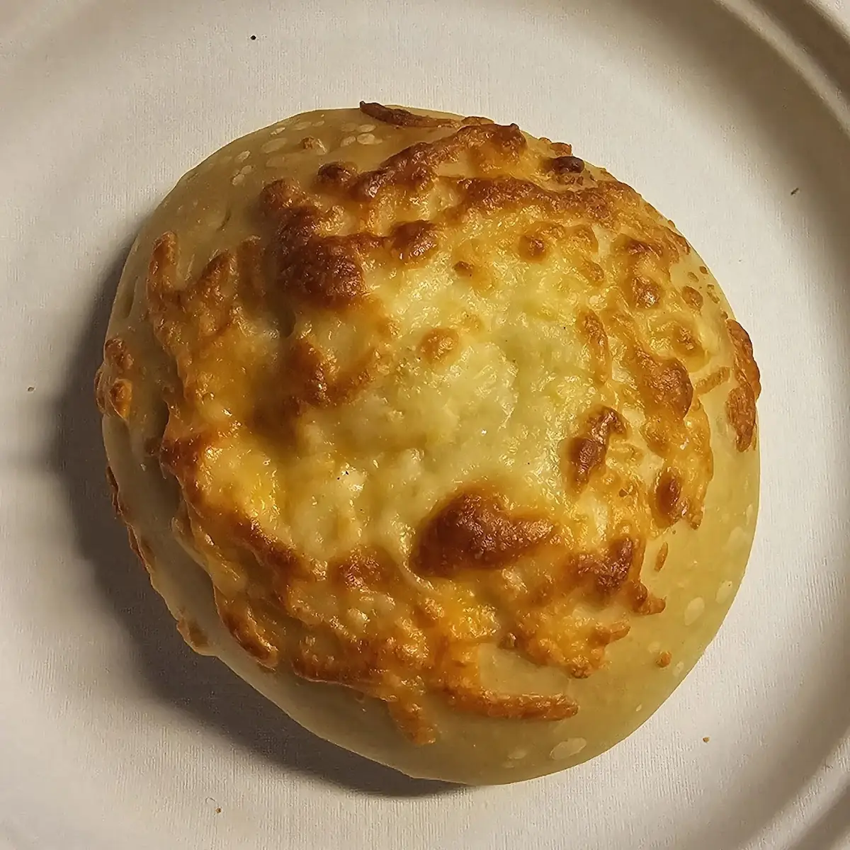 Five Cheese Bagel