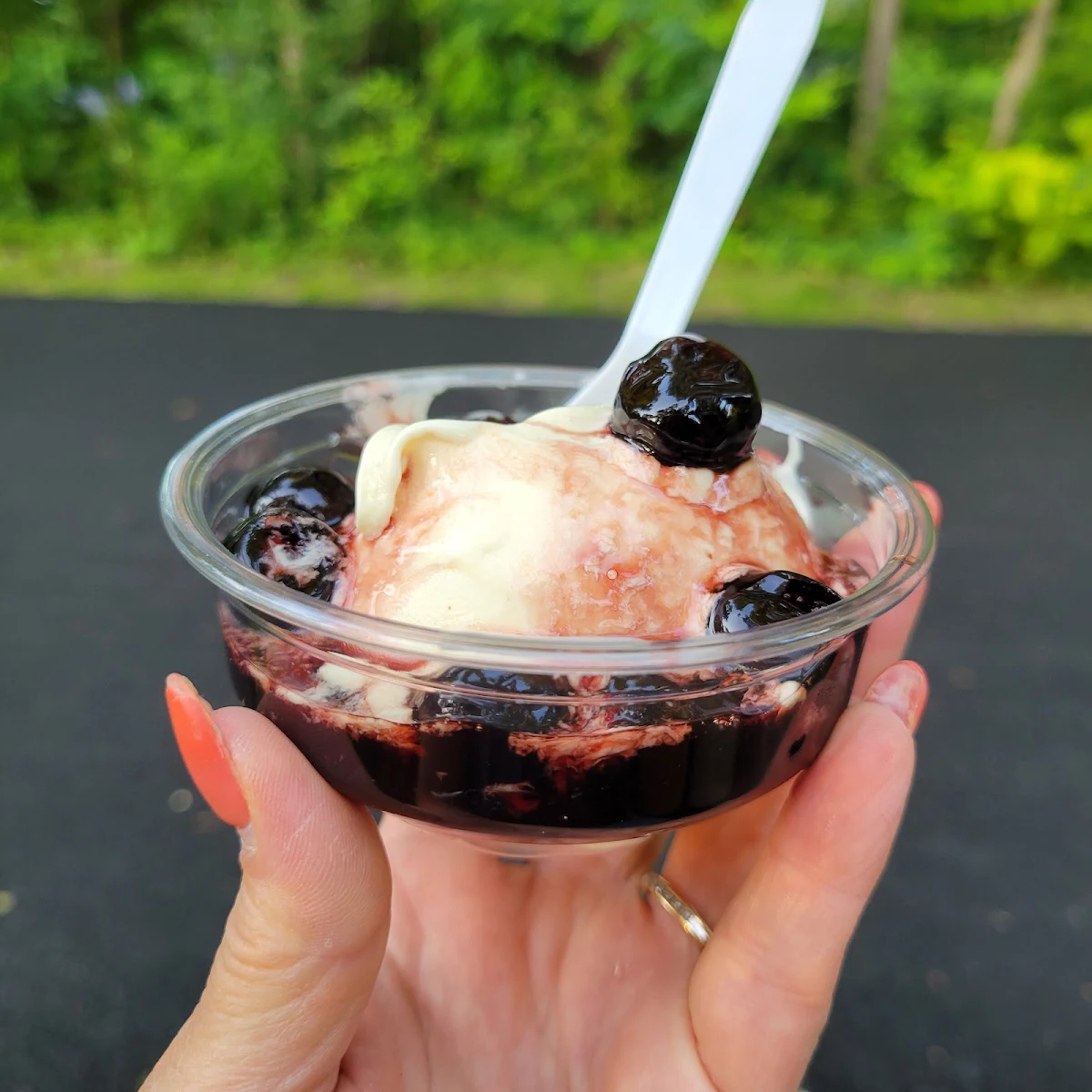 Amarena Cherry Vanilla Gelato