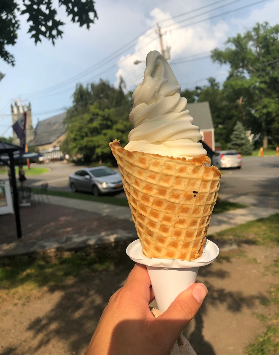 Soft Serve Vanilla Ice Cream