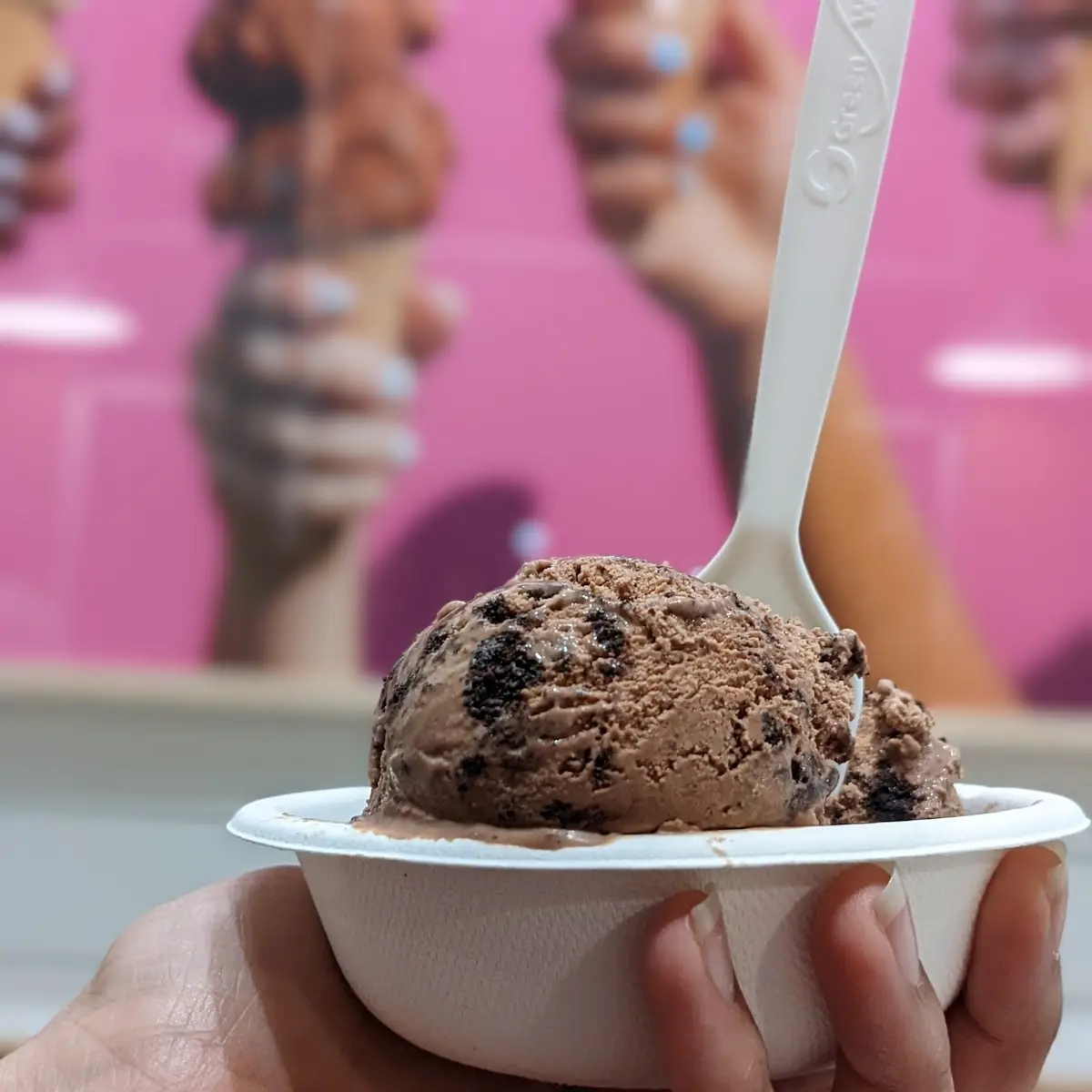 Frozen Yogurt Chocolate Flecks