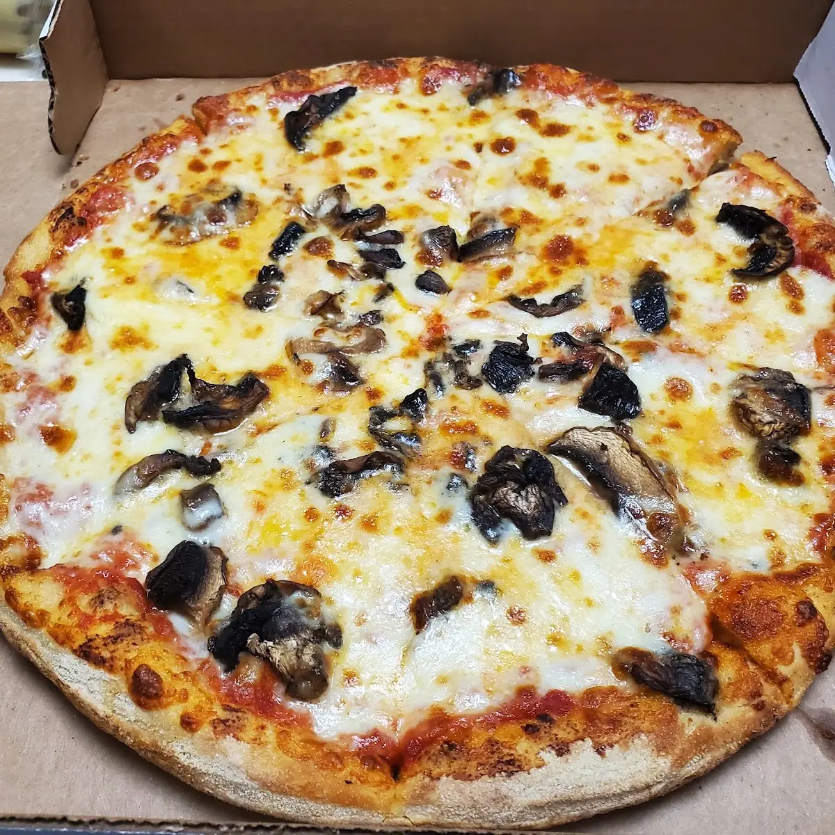 Medium Mushroom Pizza