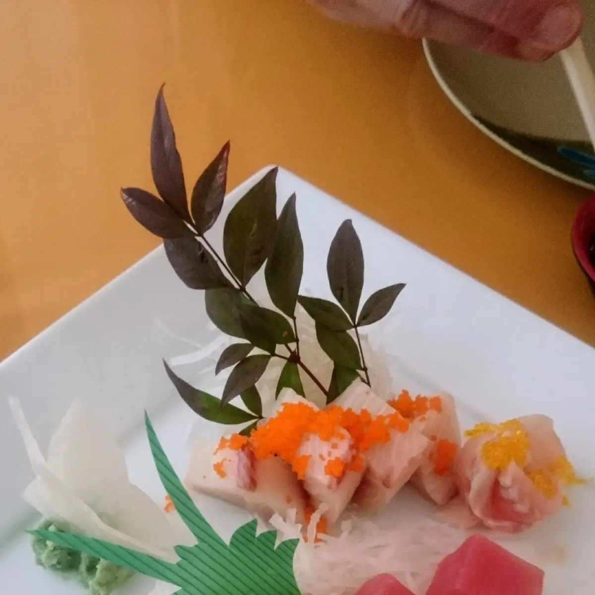 Assorted Sashimi