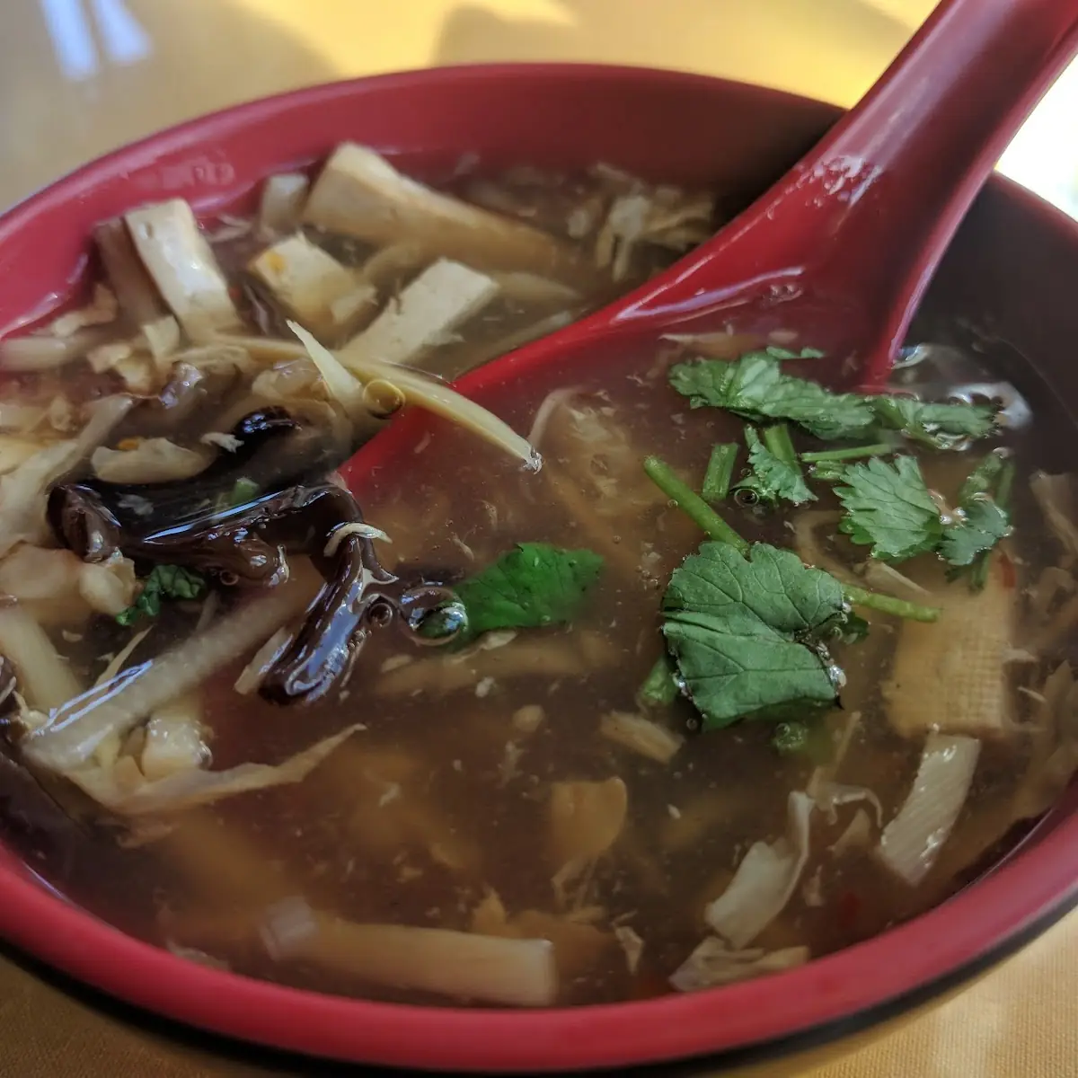 Hot and Sour Soup