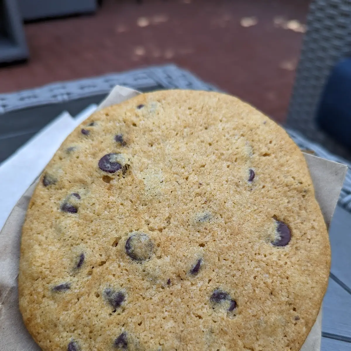 Chocolate Chip Cookie
