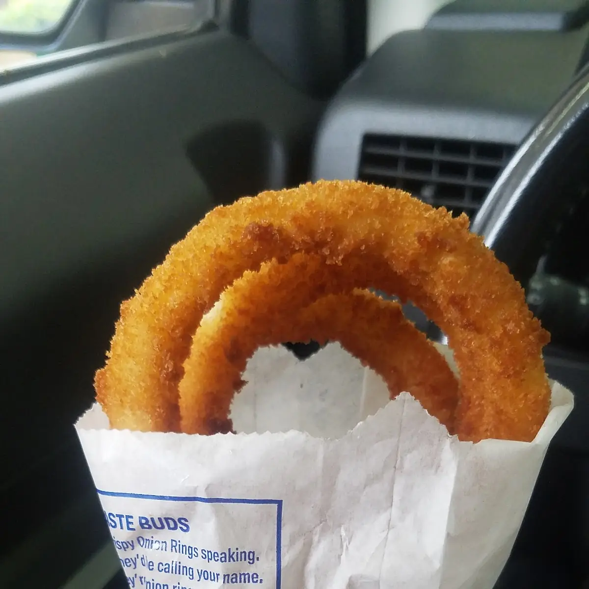Hand Made Onion Rings