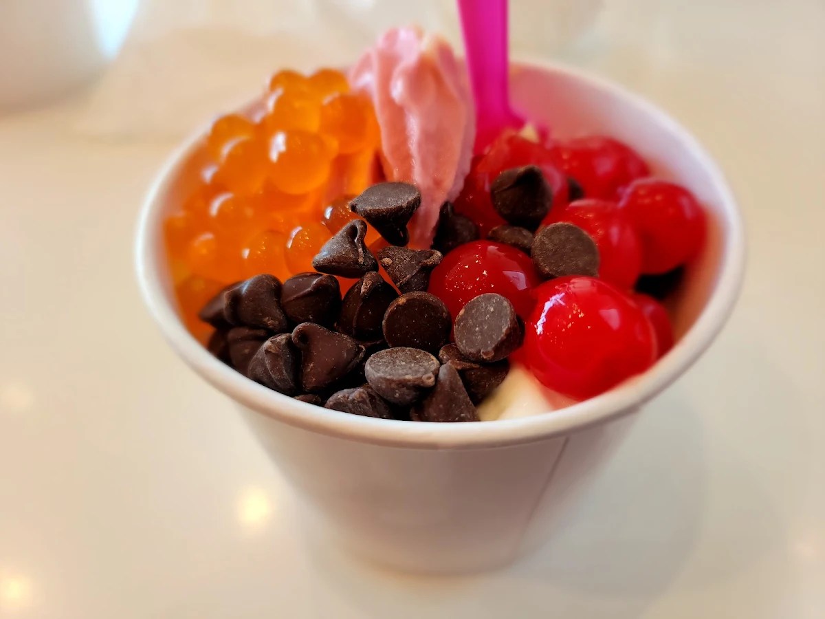 Frozen Yogurt