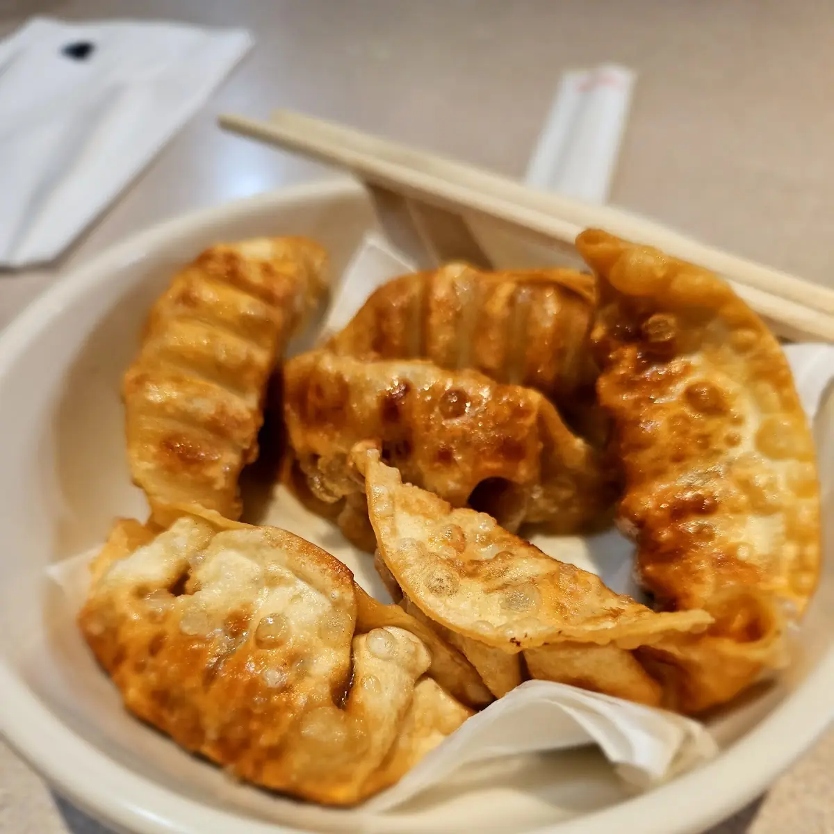 Fried Gyoza