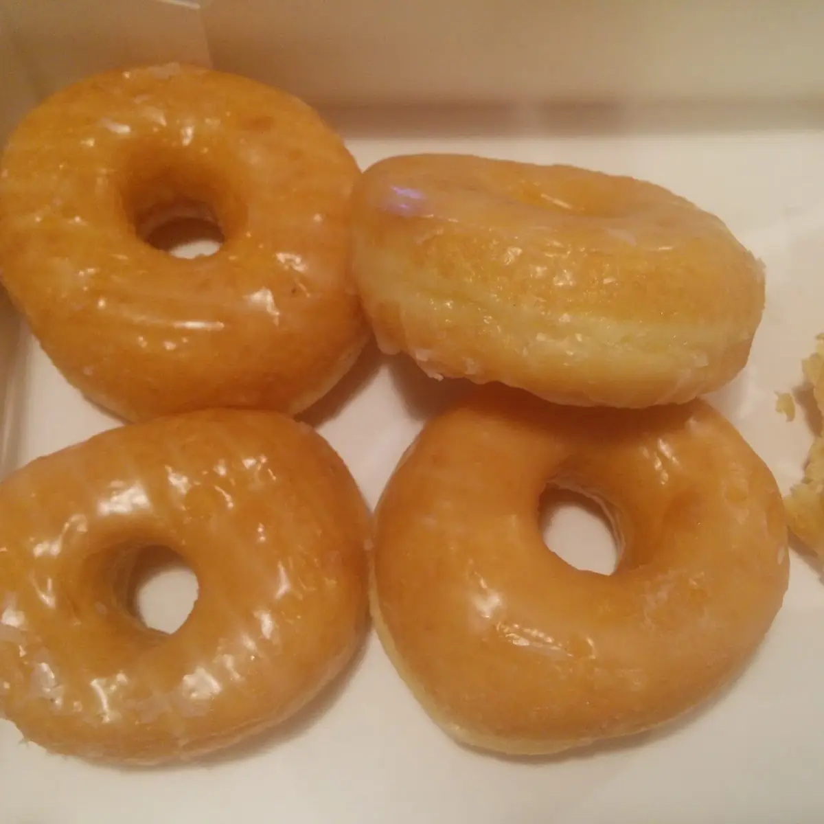 Doughnut