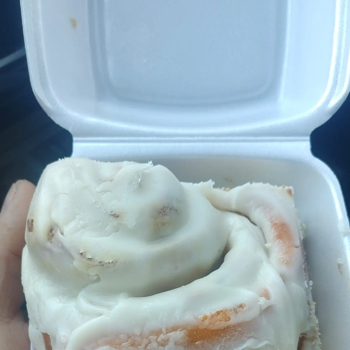Homemade Cinnamon Roll