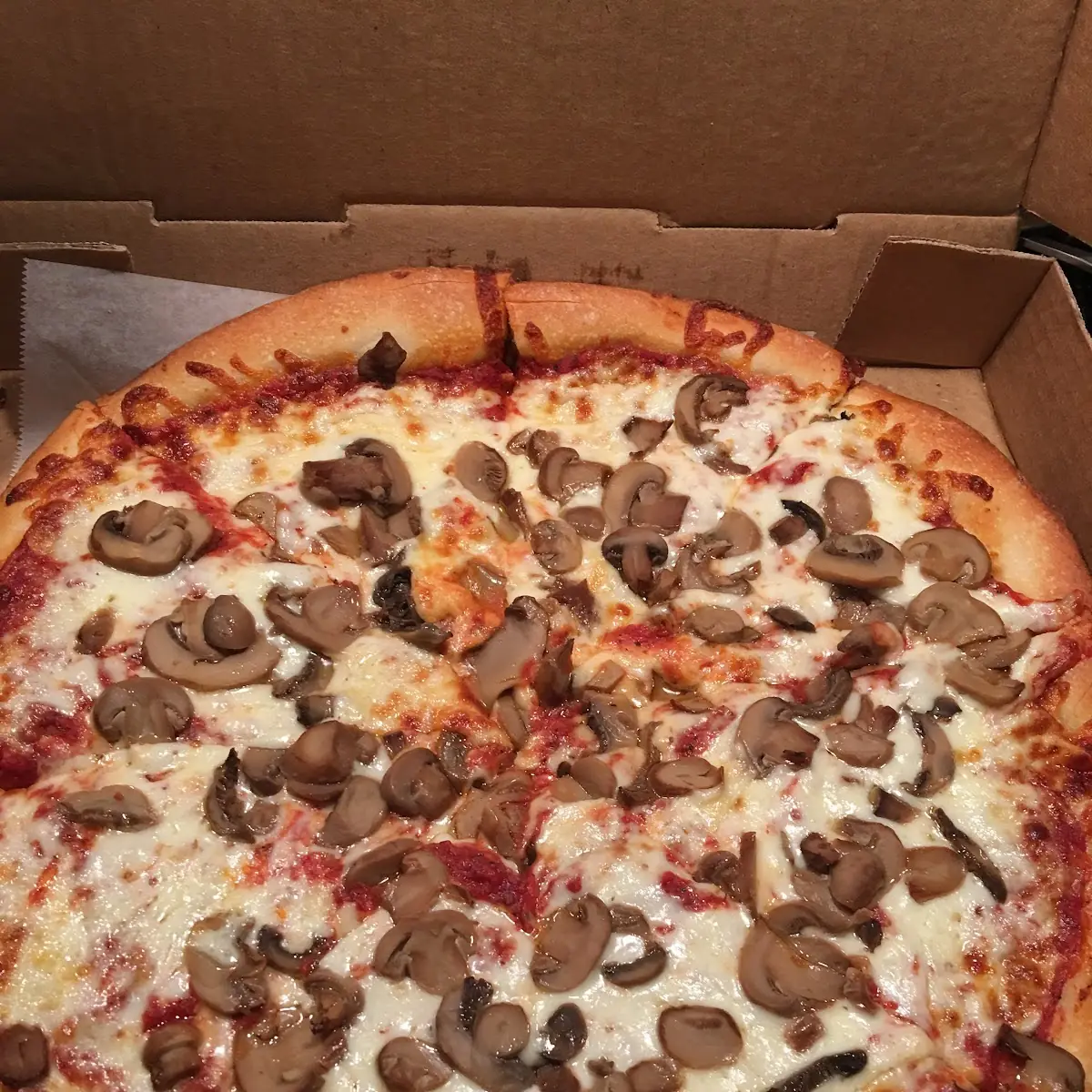 Mushroom Pizza