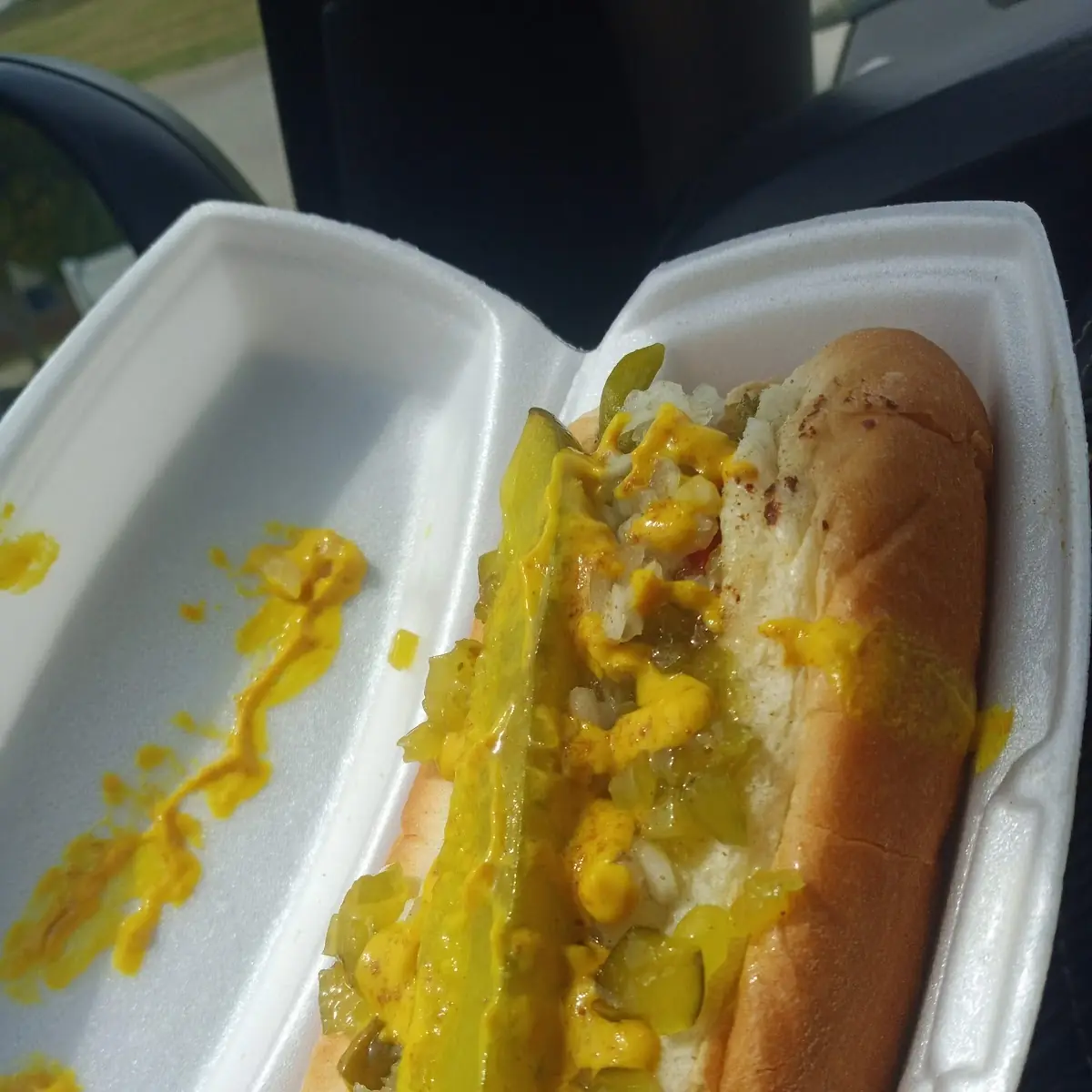 Chicago Dog