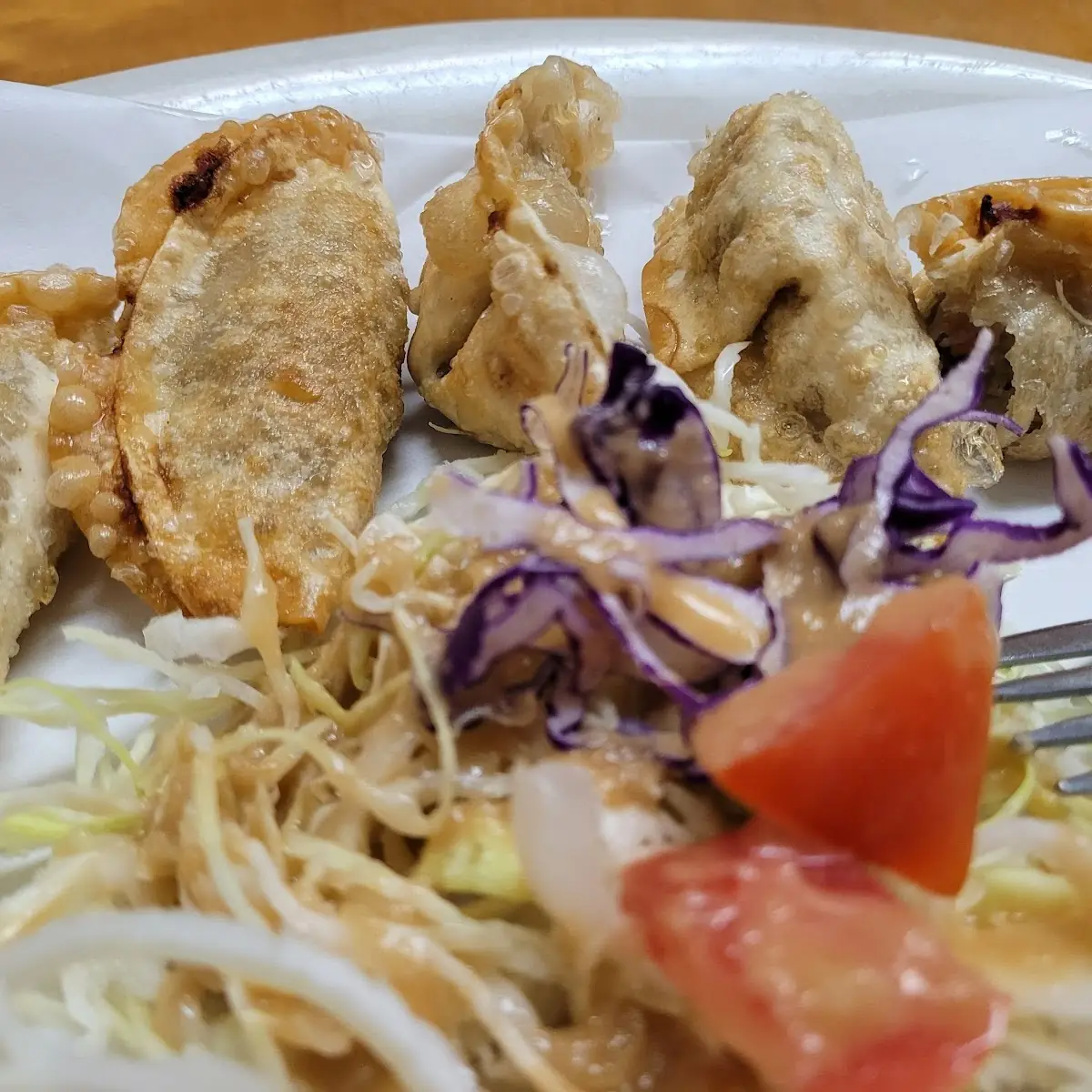Fried Dumplings
