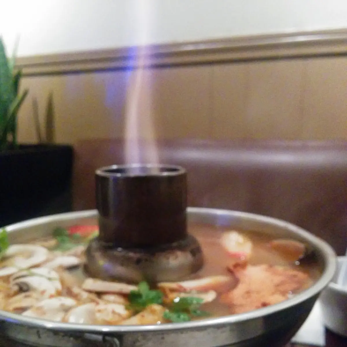 Wonton Soup