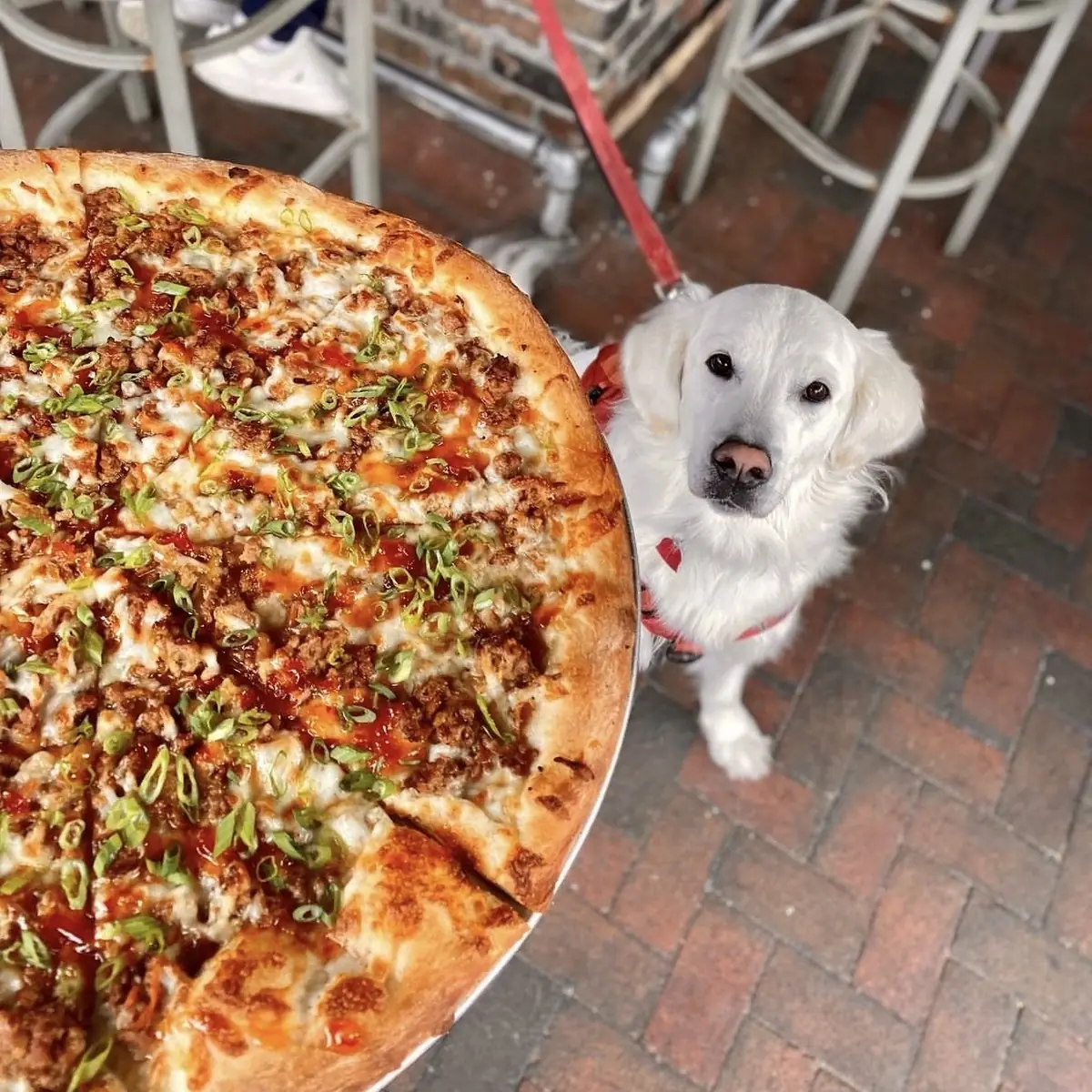Pizza Margherita