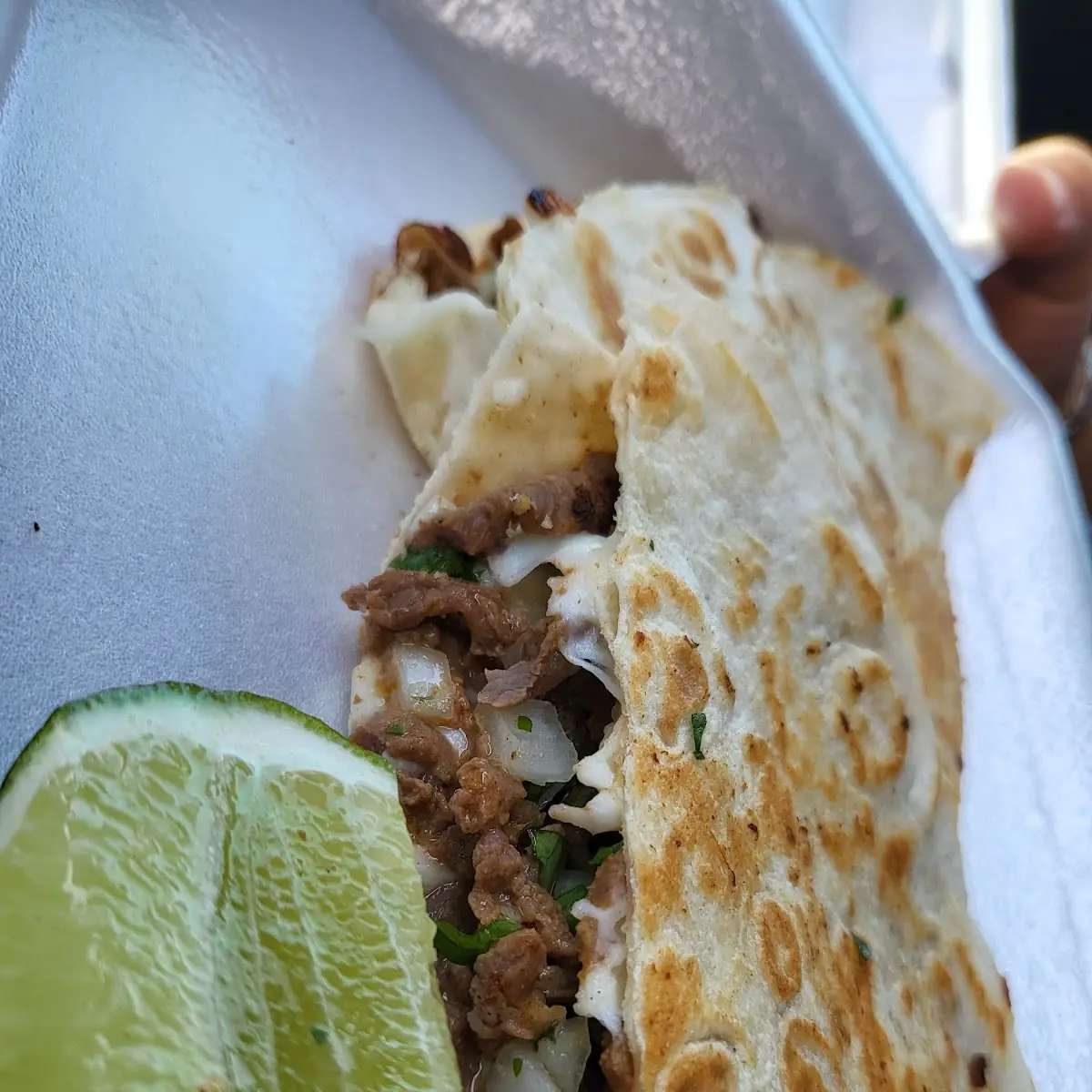 Cow Tongue Cheese Quesadilla