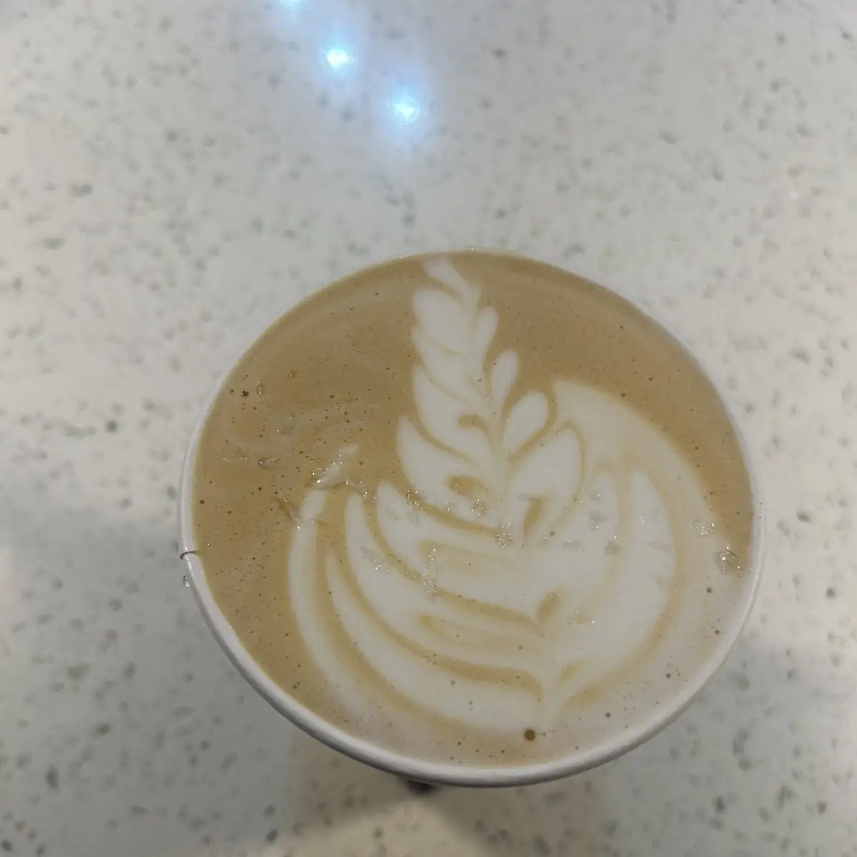 Cortado 4oz