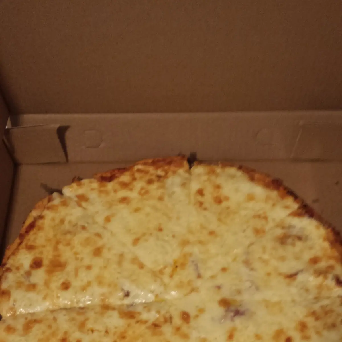 Large Pepperoni with Extra Cheese