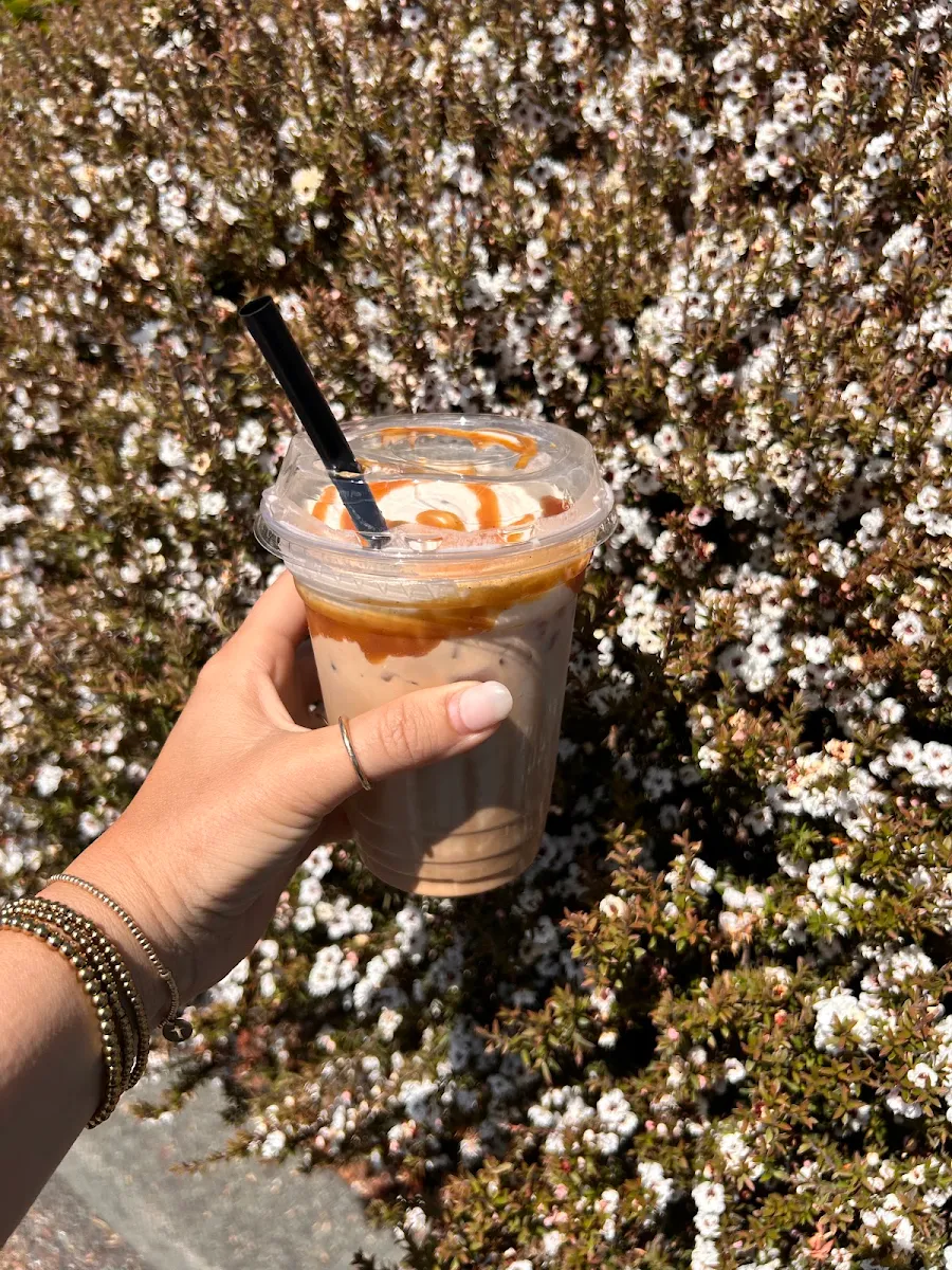 Cherry Blossom
