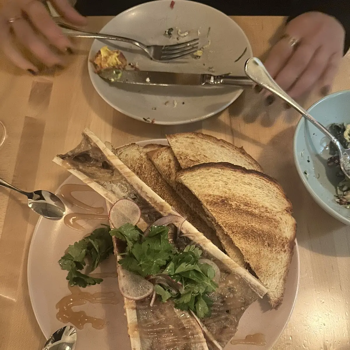 Bone Marrow