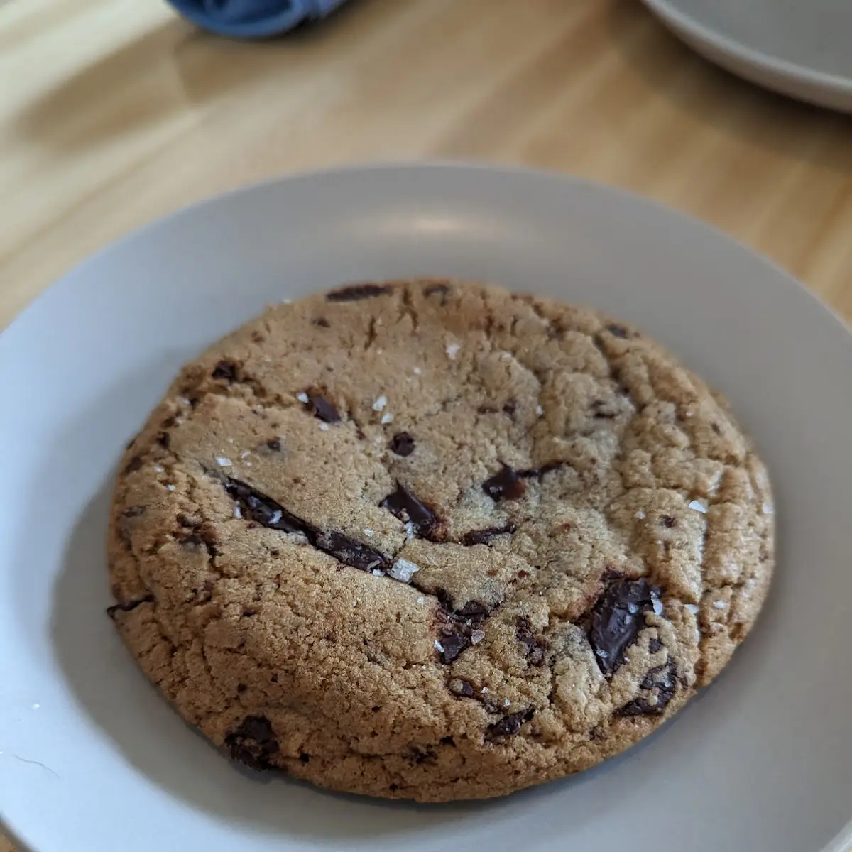 Chocolate Chip Cookie
