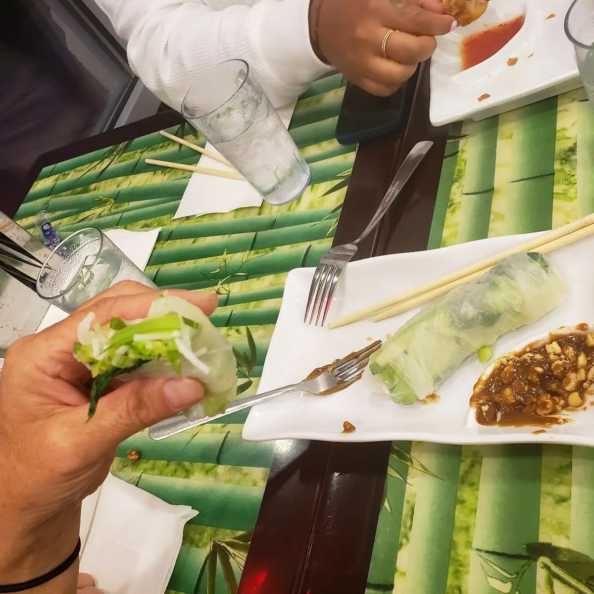 Vegetarian Spring Rolls