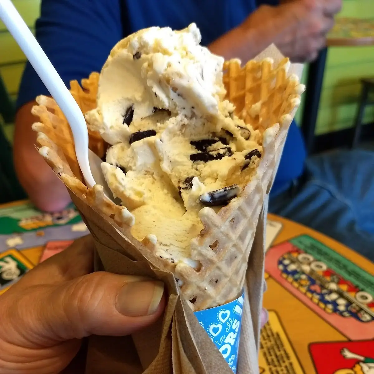 Chocolate Chip Cookie Dough