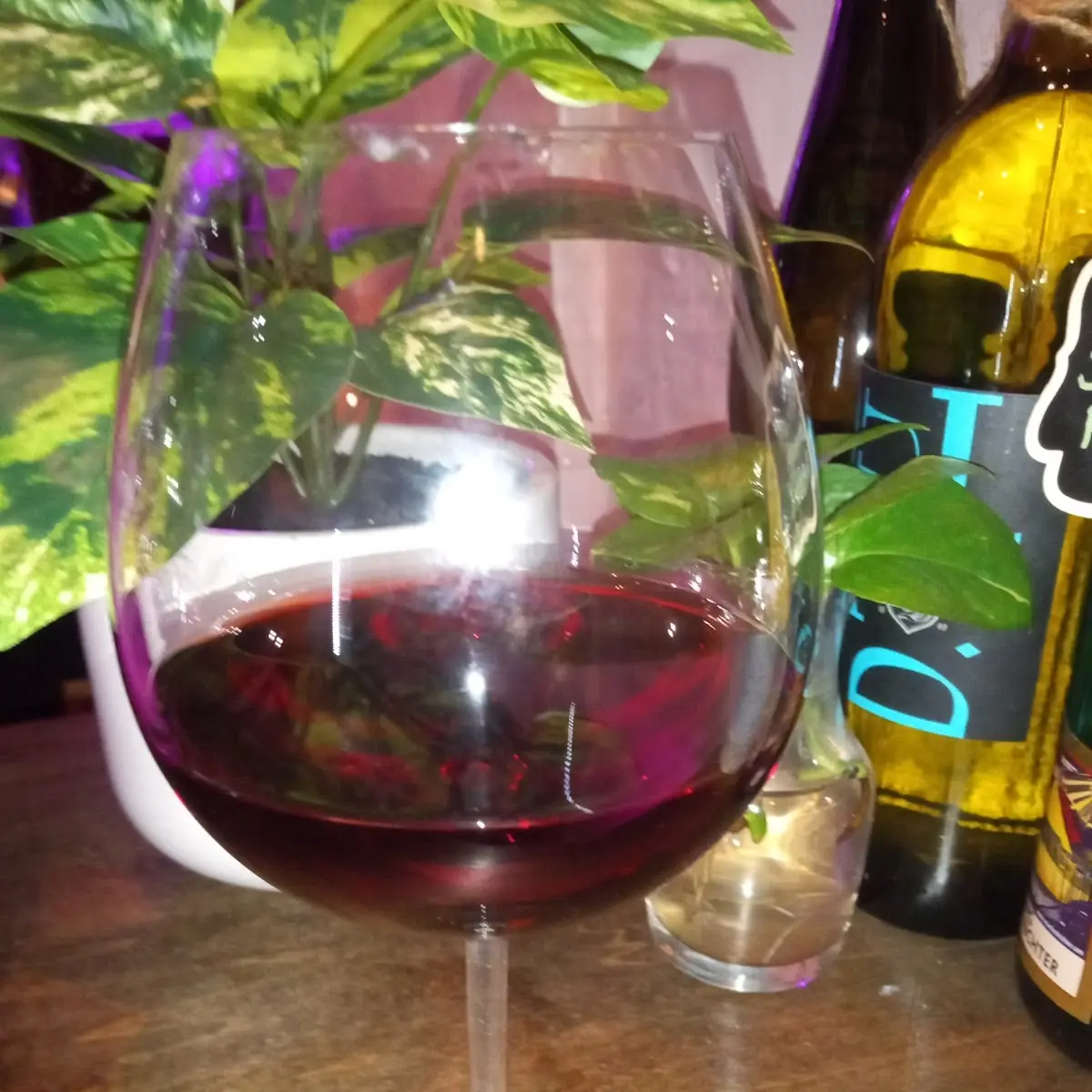 Pinot Noir
