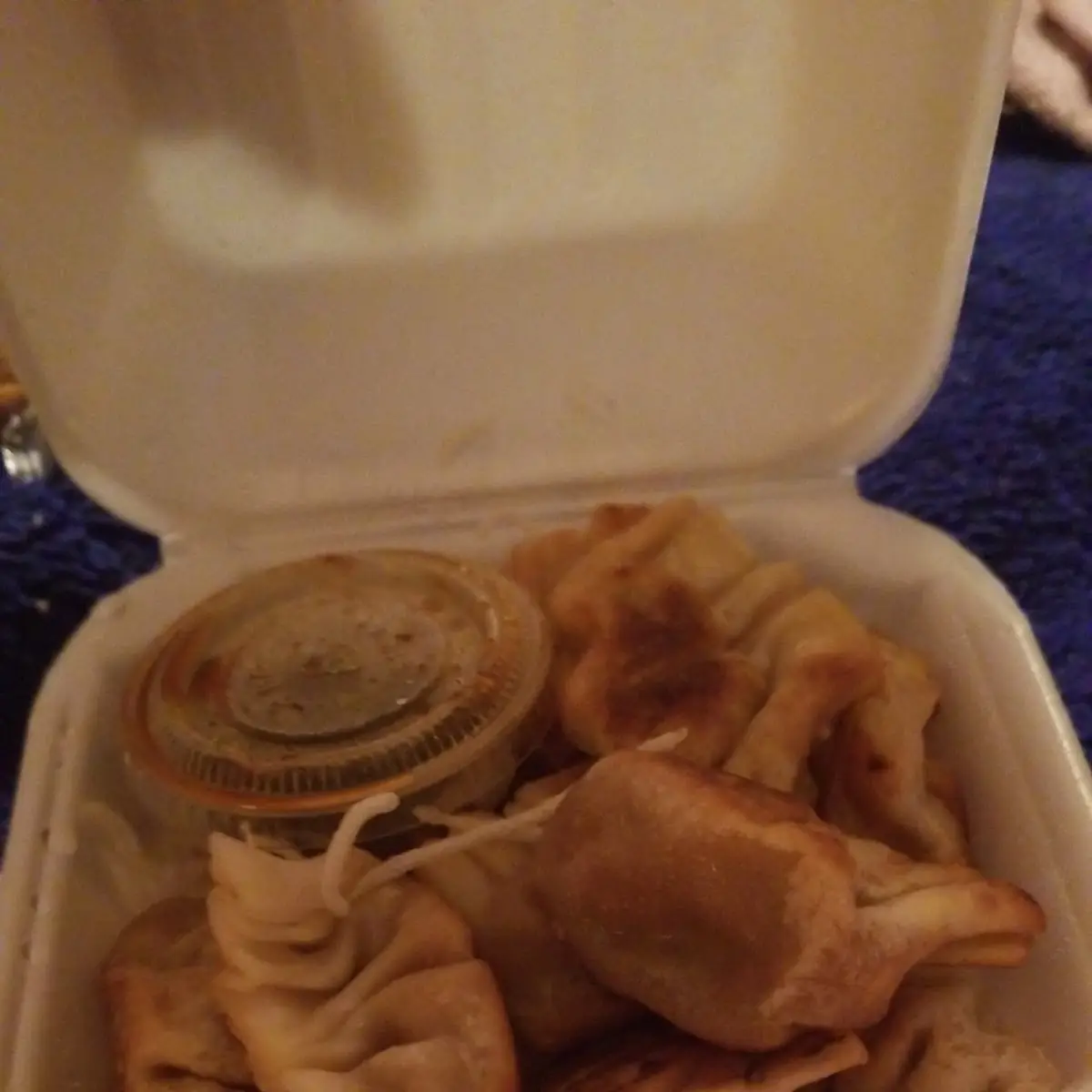 Pan Fried Dumplings
