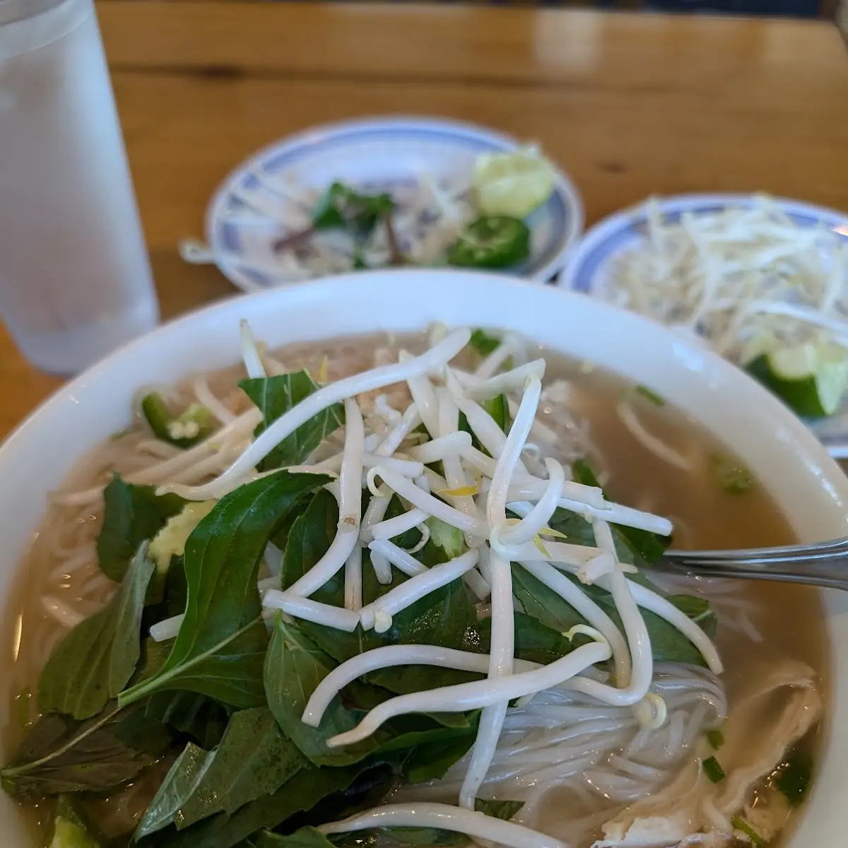 Chicken Noodle Soup Pho
