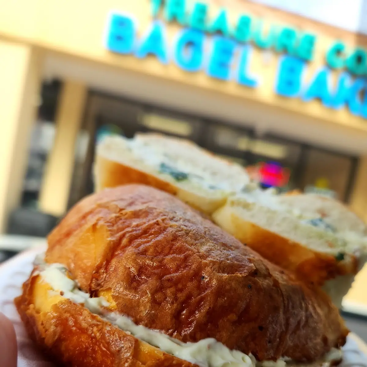 Asiago Bagels with Scallion cc