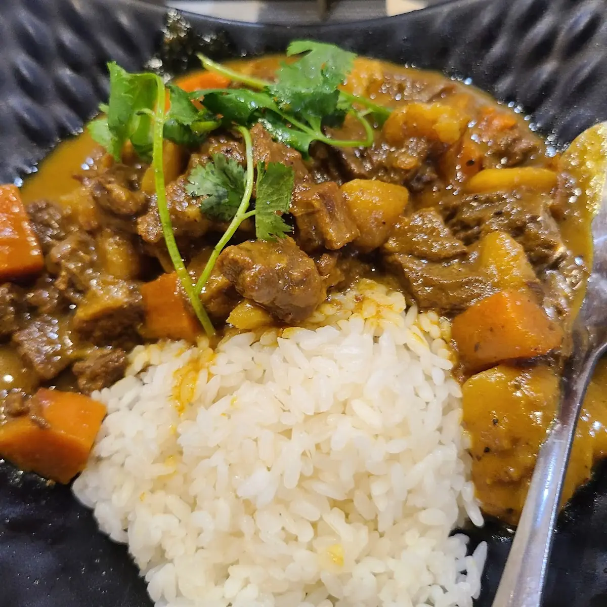 Japanese Beef Curry Rice