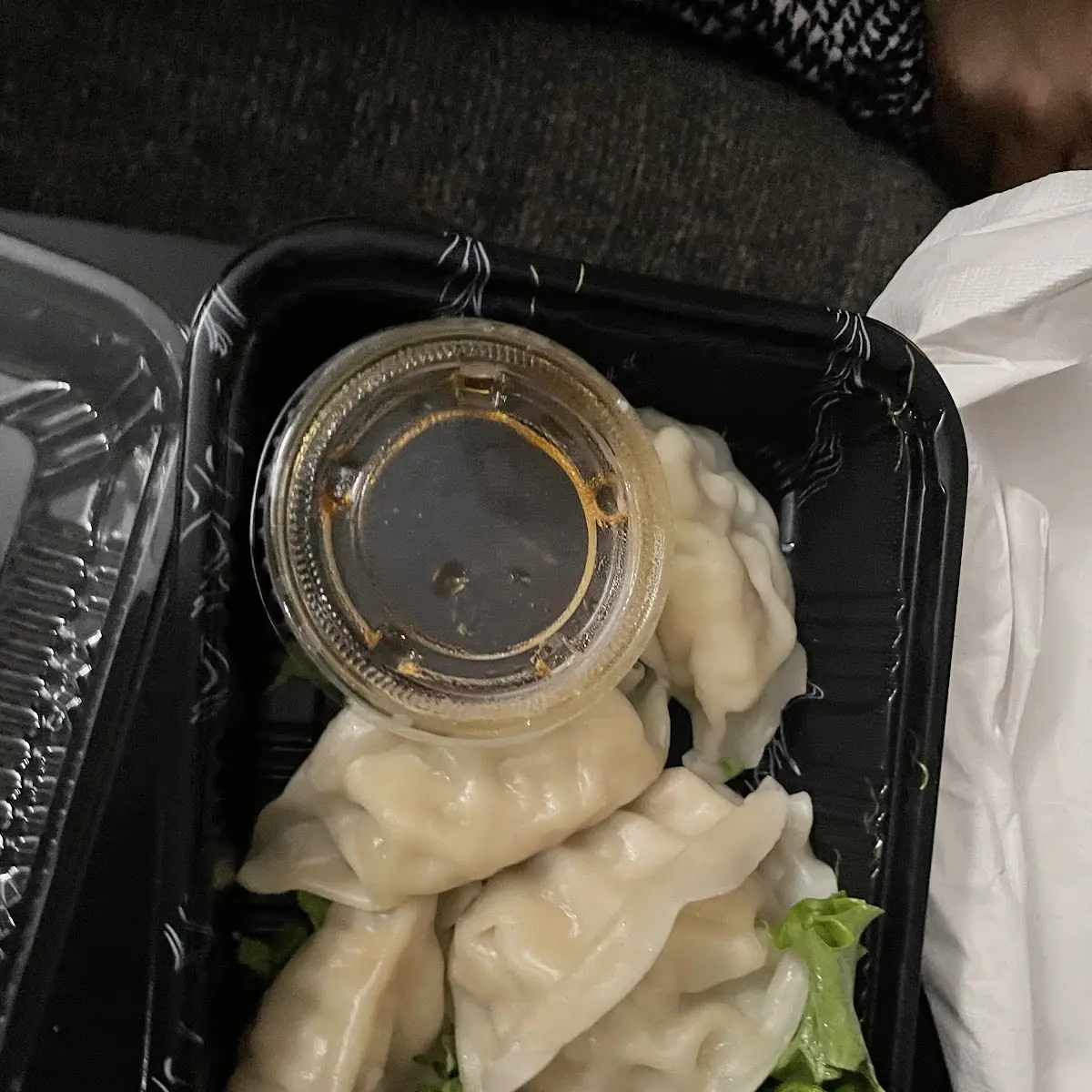 Steamed Dumplings