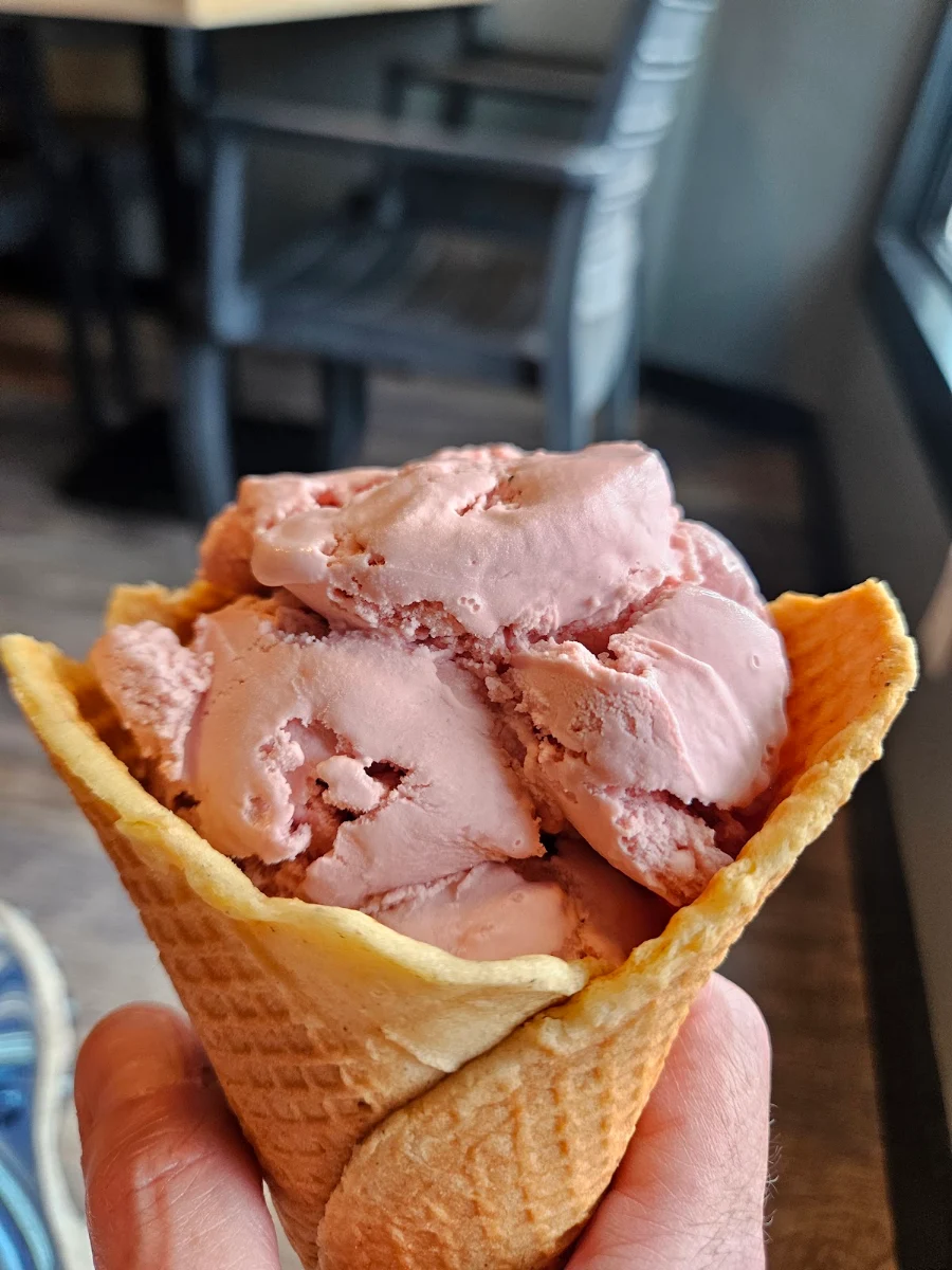 Black Raspberry Ice Cream